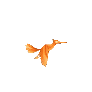 bird